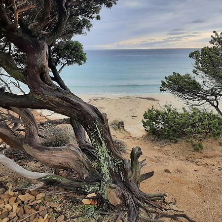 Resonance Experience - Tranquil Room Close To Beaches And Sacred Sites Sant Isidoro  Esterno foto