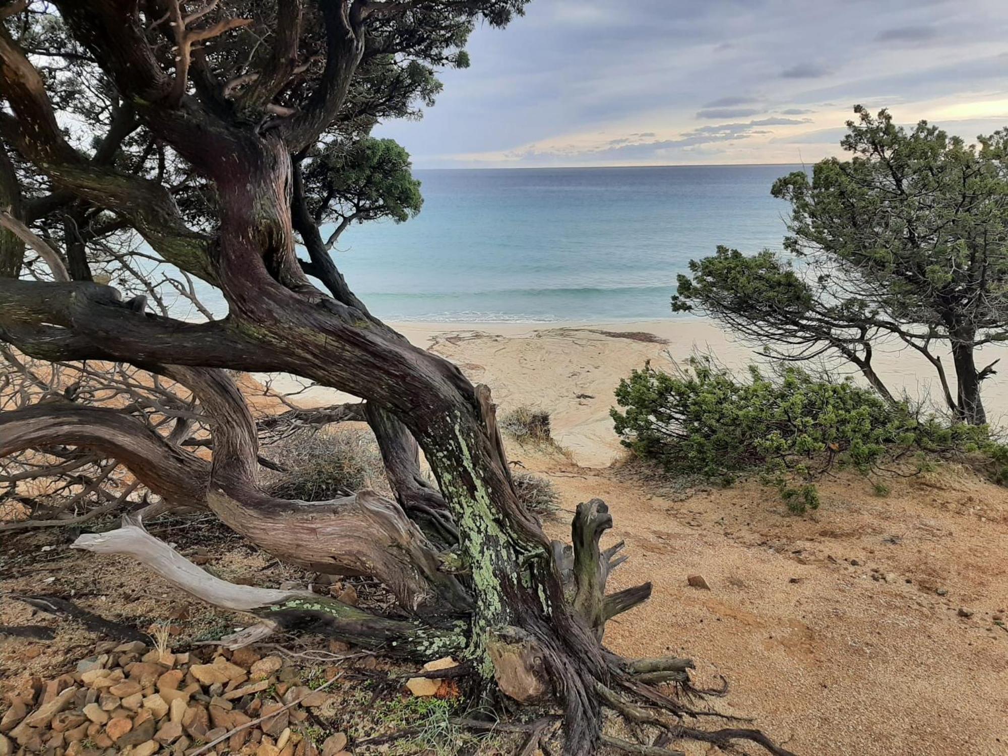 Resonance Experience - Tranquil Room Close To Beaches And Sacred Sites Sant Isidoro  Esterno foto