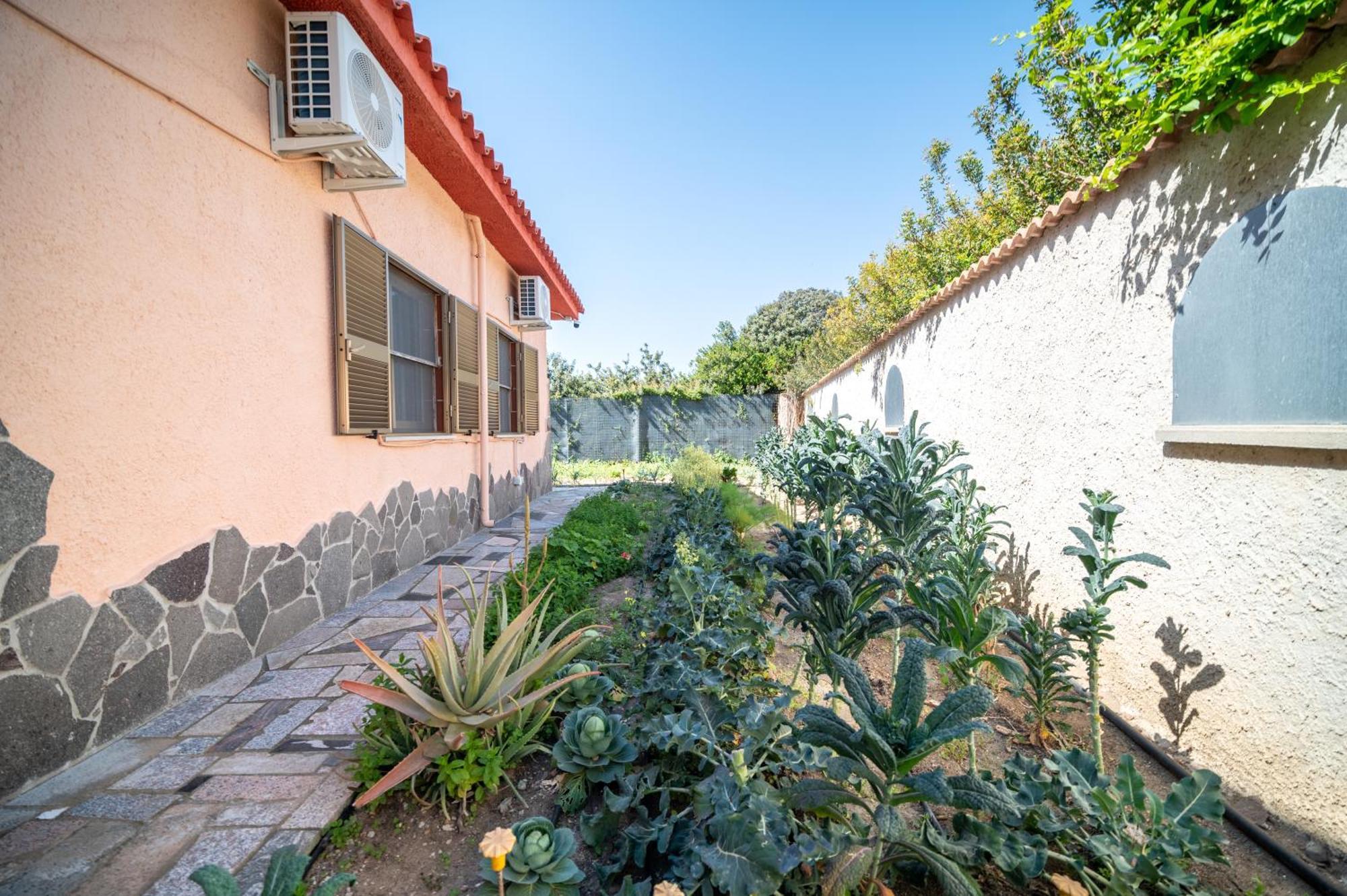 Resonance Experience - Tranquil Room Close To Beaches And Sacred Sites Sant Isidoro  Esterno foto